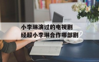 小李琳演过的电视剧 经超小李琳合作哪部剧