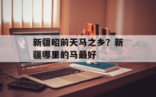 新疆昭前天马之乡？新疆哪里的马最好