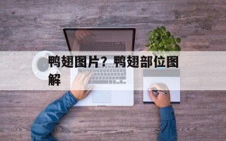 鸭翅图片？鸭翅部位图解