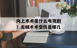 向上术术是什么电视剧？无贼术术受伤是哪几