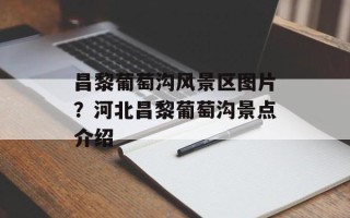 昌黎葡萄沟风景区图片？河北昌黎葡萄沟景点介绍