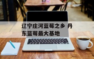 辽宁庄河蓝莓之乡 丹东蓝莓最大基地