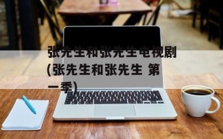张先生和张先生电视剧(张先生和张先生 第一季)