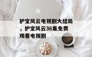 护宝风云电视剧大结局，护宝风云36集免费观看电视剧
