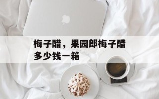 梅子醋，果园郎梅子醋多少钱一箱