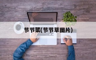 节节菜(节节草图片)