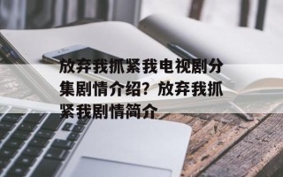 放弃我抓紧我电视剧分集剧情介绍？放弃我抓紧我剧情简介