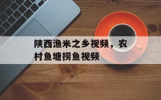 陕西渔米之乡视频，农村鱼塘捞鱼视频