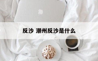 反沙 潮州反沙是什么