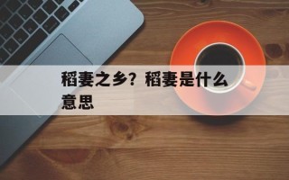 稻妻之乡？稻妻是什么意思