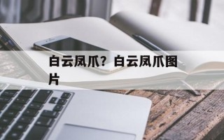 白云凤爪？白云凤爪图片