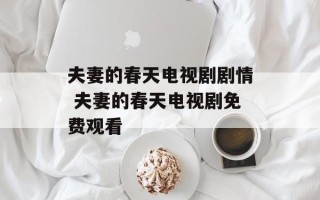 夫妻的春天电视剧剧情 夫妻的春天电视剧免费观看