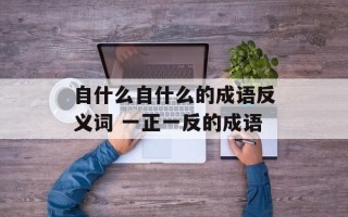 自什么自什么的成语反义词 一正一反的成语
