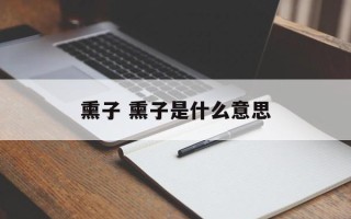 熏子 熏子是什么意思