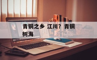 青铜之乡 江川？青铜树海