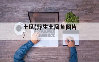 土凤(野生土凤鱼图片)
