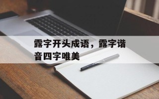 露字开头成语，露字谐音四字唯美