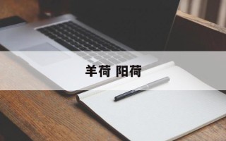 羊荷 阳荷
