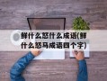 鲜什么怒什么成语(鲜什么怒马成语四个字)