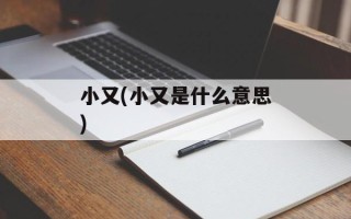 小又(小又是什么意思)