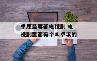 卓原是哪部电视剧 电视剧里面有个叫卓求的