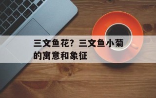 三文鱼花？三文鱼小菊的寓意和象征