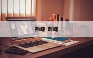 狮螺 刺螺
