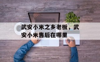 武安小米之乡老板，武安小米售后在哪里