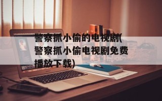 警察抓小偷的电视剧(警察抓小偷电视剧免费播放下载)