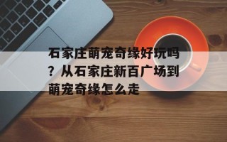 石家庄萌宠奇缘好玩吗？从石家庄新百广场到萌宠奇缘怎么走