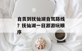 自贡到抚仙湖自驾路线？抚仙湖一日游游玩顺序