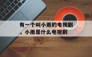 有一个叫小雨的电视剧，小雨是什么电视剧