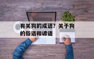 有关狗的成语？关于狗的俗语和谚语