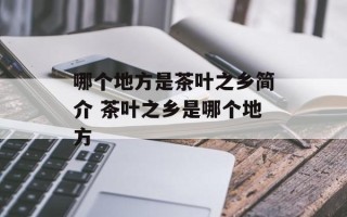 哪个地方是茶叶之乡简介 茶叶之乡是哪个地方