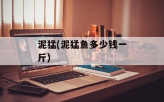 泥猛(泥猛鱼多少钱一斤)
