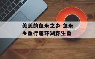 美美的鱼米之乡 鱼米乡鱼行莲环湖野生鱼
