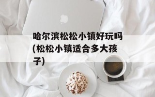 哈尔滨松松小镇好玩吗(松松小镇适合多大孩子)
