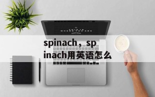 spinach，spinach用英语怎么