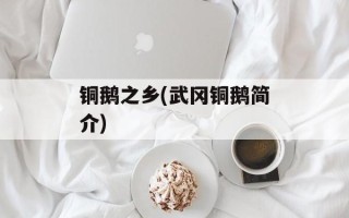 铜鹅之乡(武冈铜鹅简介)