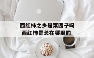 西红柿之乡是菜园子吗 西红柿是长在哪里的