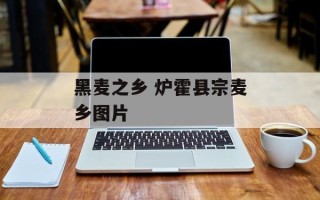 黑麦之乡 炉霍县宗麦乡图片