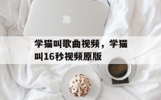 学猫叫歌曲视频，学猫叫16秒视频原版