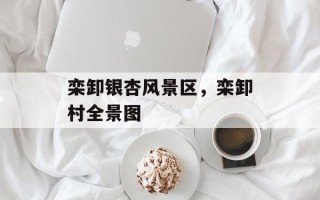 栾卸银杏风景区，栾卸村全景图