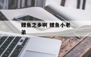 鲤鱼之乡啊 鲤鱼小老弟