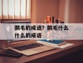 鹅毛的成语？鹅毛什么什么的成语