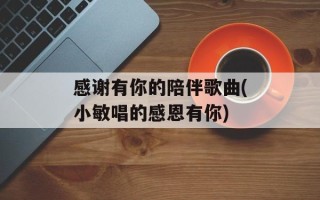 感谢有你的陪伴歌曲(小敏唱的感恩有你)