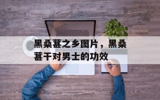 黑桑葚之乡图片，黑桑葚干对男士的功效