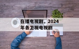 在播电视剧，2024年各卫视电视剧