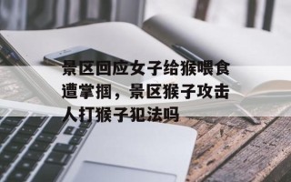 景区回应女子给猴喂食遭掌掴，景区猴子攻击人打猴子犯法吗