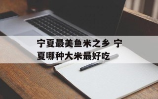 宁夏最美鱼米之乡 宁夏哪种大米最好吃